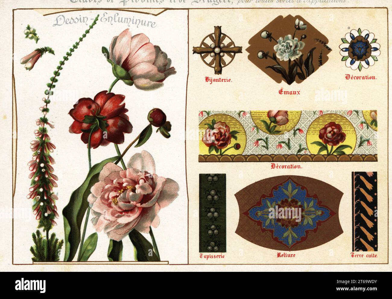 Images of peony and heather from manuscripts and their applications in jewelry, enamel, tapestry, wallpaper, binding, etc.. Chromolithograph designed and lithographed by Ernst Guillot from his Flowers After Nature and Ornamental Flowers, Fleurs d`apres Nature et fleurs ornementales, Paris, 1890. Stock Photo